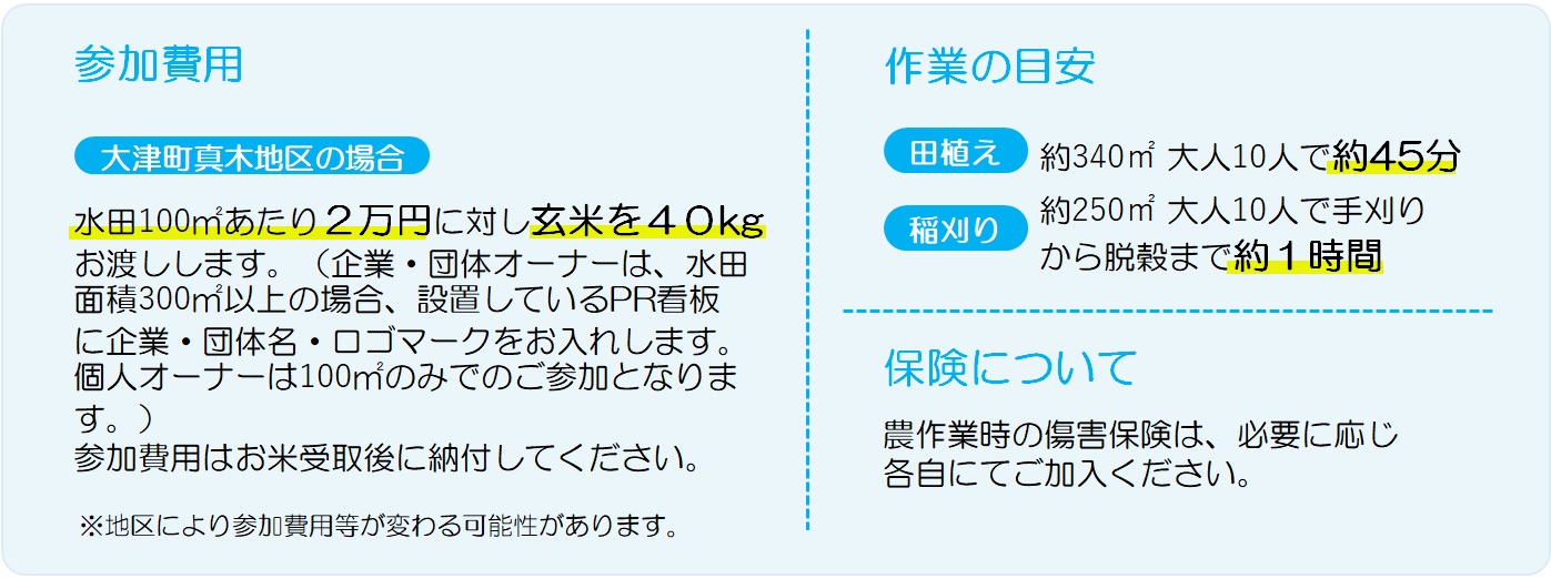 年間スケジュール 図解