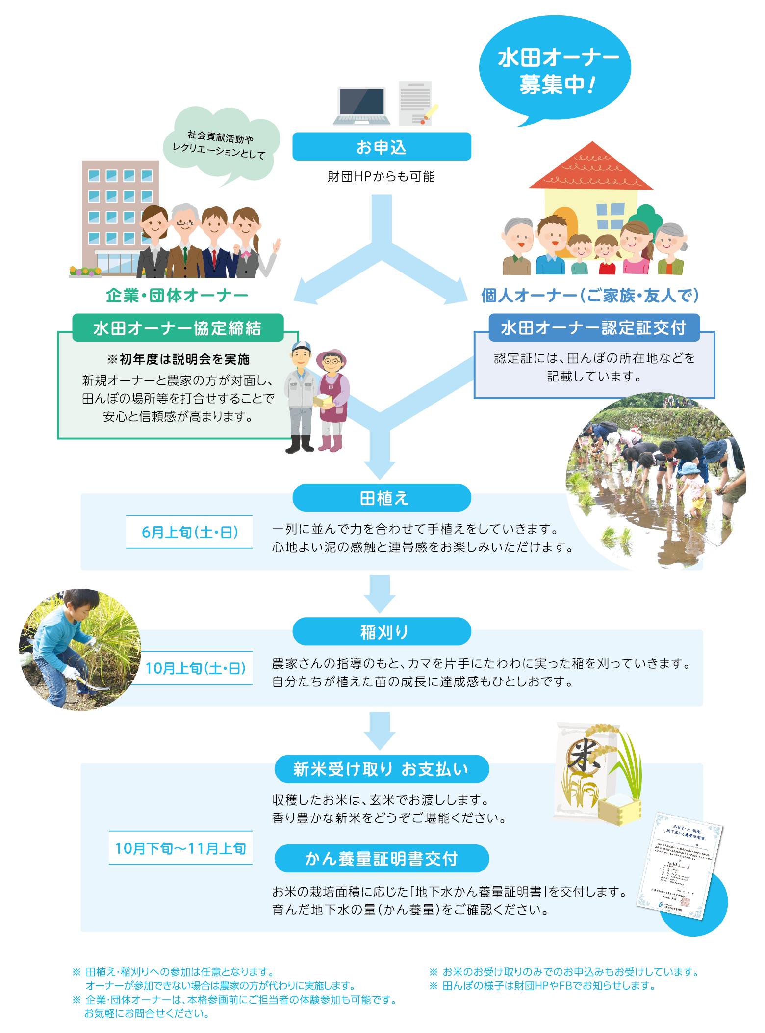 年間スケジュール 図解