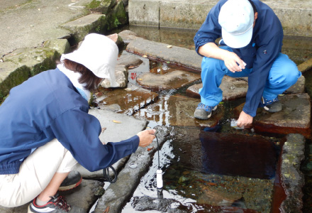 湧水採取 画像