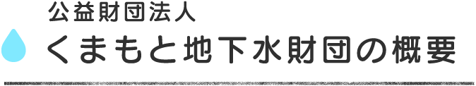 公益財団法人 くまもと地下水財団の概要